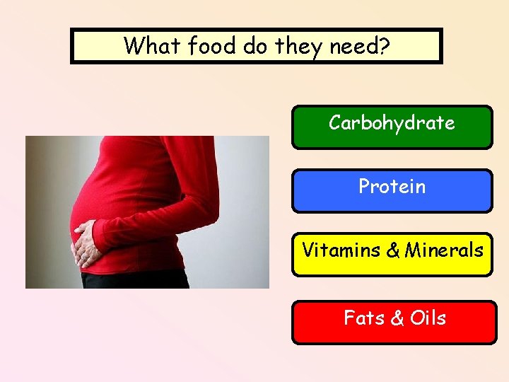 What food do they need? Carbohydrate Protein Vitamins & Minerals Fats & Oils 