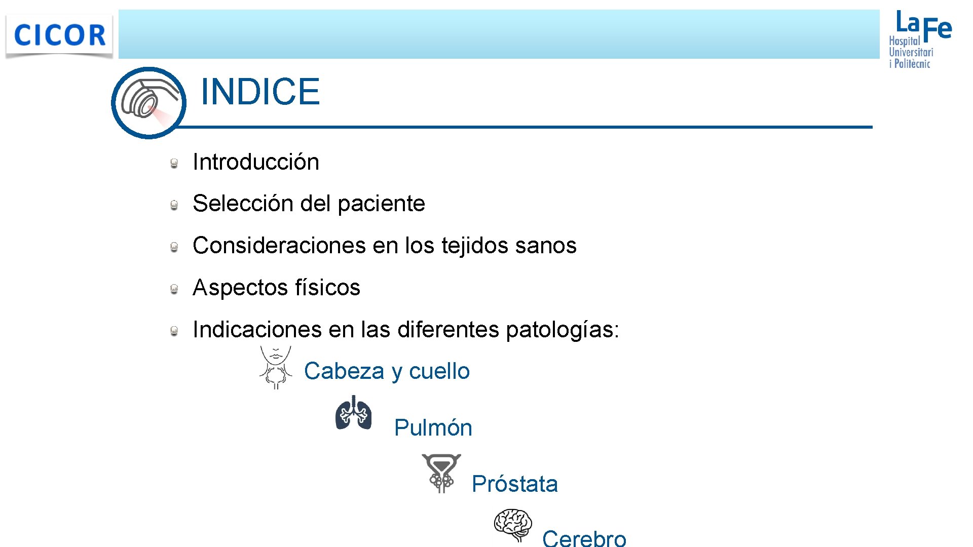 INDICE Introducción Selección del paciente Consideraciones en los tejidos sanos Aspectos físicos Indicaciones en INDICE Introducción Selección del paciente Consideraciones en los tejidos sanos Aspectos físicos Indicaciones en