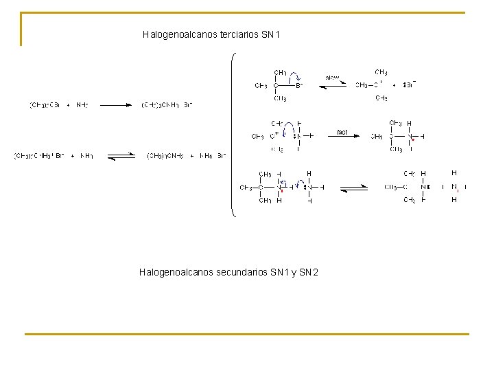 Halogenoalcanos terciarios SN 1 Halogenoalcanos secundarios SN 1 y SN 2 
