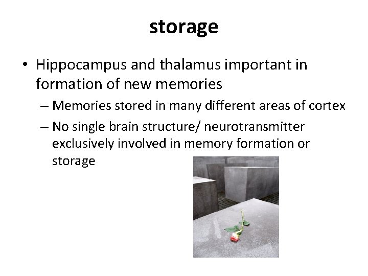 storage • Hippocampus and thalamus important in formation of new memories – Memories stored