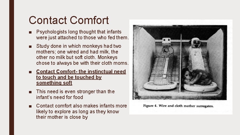Contact Comfort ■ Psychologists long thought that infants were just attached to those who