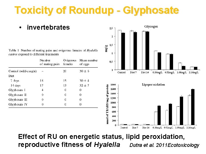 Toxicity of Roundup - Glyphosate • invertebrates Effect of RU on energetic status, lipid
