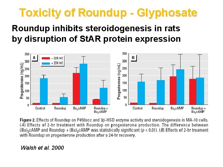 Toxicity of Roundup - Glyphosate Roundup inhibits steroidogenesis in rats by disruption of St.