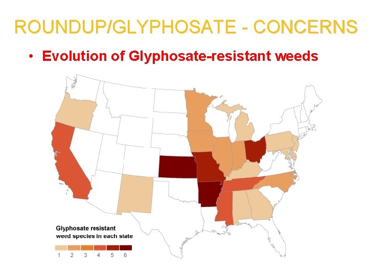 ROUNDUP/GLYPHOSATE - CONCERNS • Evolution of Glyphosate-resistant weeds 