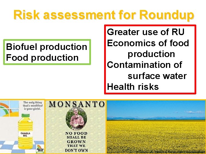 Risk assessment for Roundup Biofuel production Food production Greater use of RU Economics of