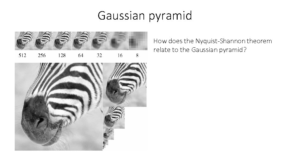 Gaussian pyramid How does the Nyquist-Shannon theorem relate to the Gaussian pyramid? 