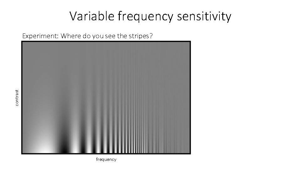 Variable frequency sensitivity contrast Experiment: Where do you see the stripes? frequency 
