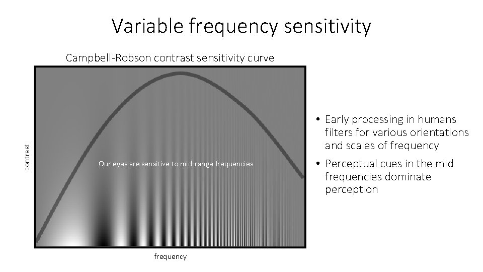 Variable frequency sensitivity contrast Campbell-Robson contrast sensitivity curve Our eyes are sensitive to mid-range