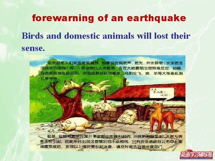 forewarning of an earthquake Birds and domestic animals will lost their sense. 