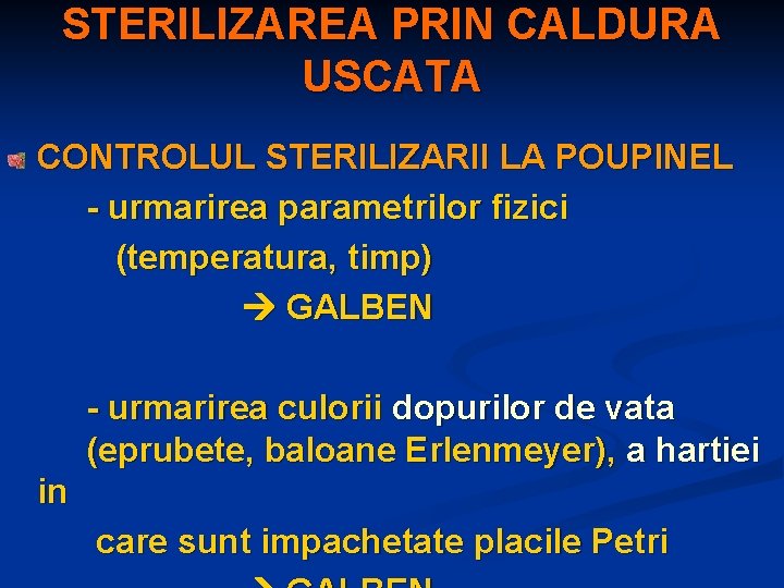 STERILIZAREA PRIN CALDURA USCATA CONTROLUL STERILIZARII LA POUPINEL - urmarirea parametrilor fizici (temperatura, timp)