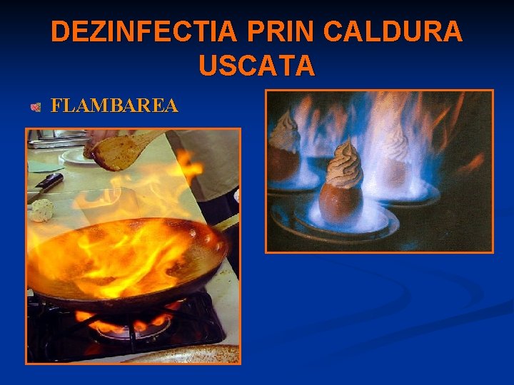 DEZINFECTIA PRIN CALDURA USCATA FLAMBAREA 