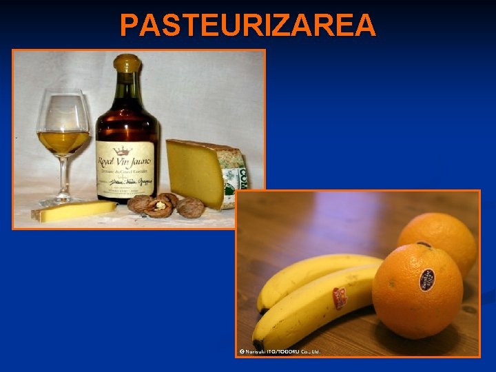 PASTEURIZAREA 