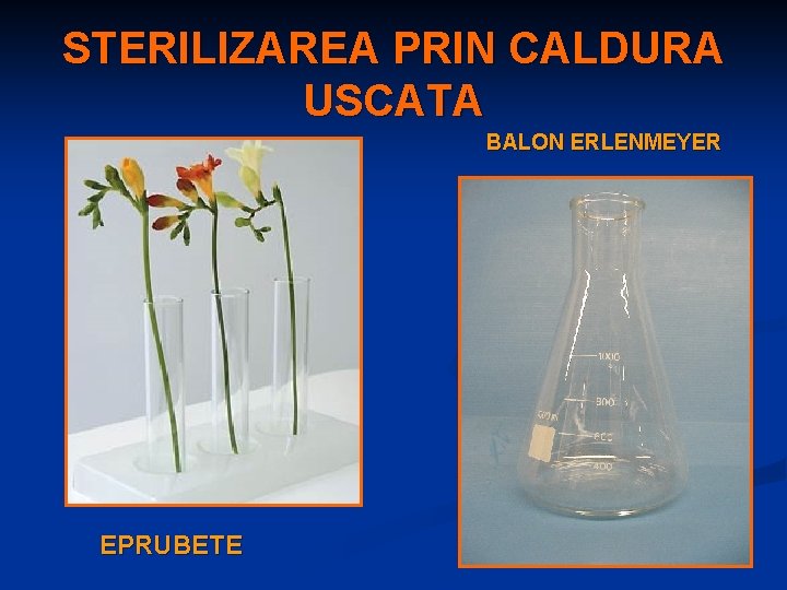 STERILIZAREA PRIN CALDURA USCATA BALON ERLENMEYER EPRUBETE 