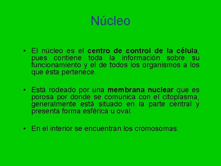 Núcleo • El núcleo es el centro de control de la célula, pues contiene