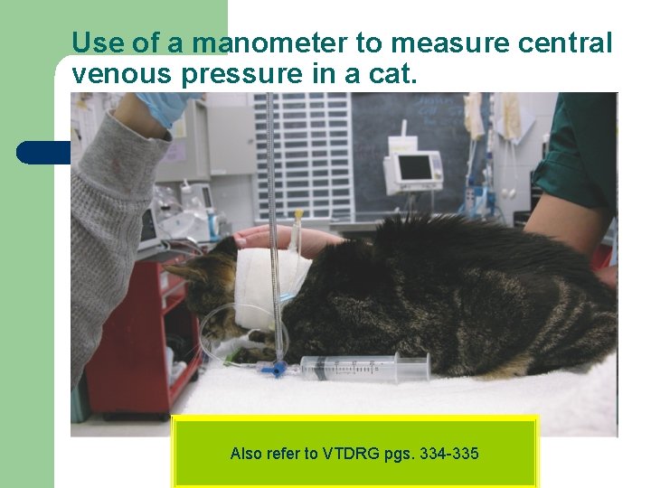 Use of a manometer to measure central venous pressure in a cat. Also refer