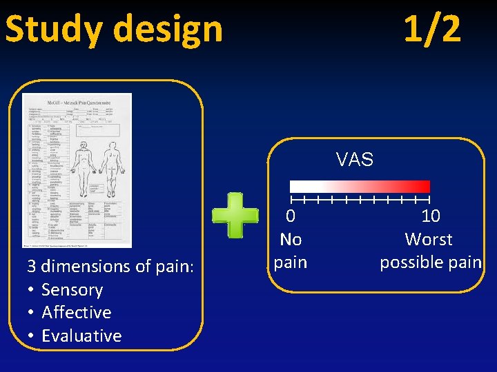 Study design 1/2 VAS 3 dimensions of pain: • Sensory • Affective • Evaluative