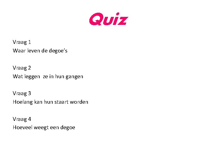 Quiz Vraag 1 Waar leven de degoe’s Vraag 2 Wat leggen ze in hun Quiz Vraag 1 Waar leven de degoe’s Vraag 2 Wat leggen ze in hun