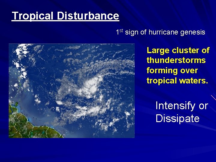 Tropical Disturbance 1 st sign of hurricane genesis Large cluster of thunderstorms forming over