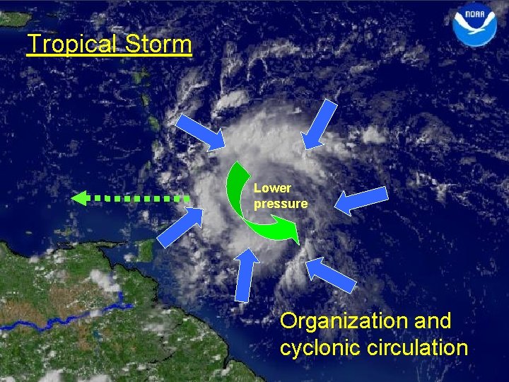 Tropical Storm Lower pressure Organization and cyclonic circulation 