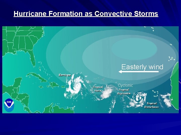 Hurricane Formation as Convective Storms Easterly wind Cyclonic 