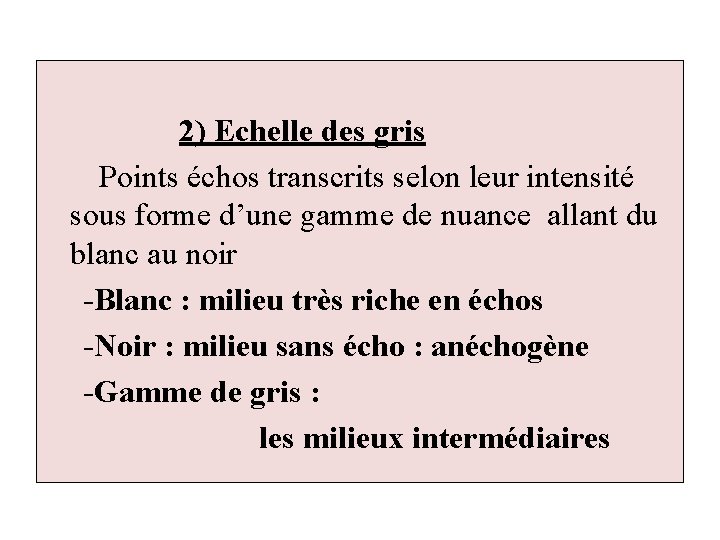 2) Echelle des gris Points échos transcrits selon leur intensité sous forme d’une gamme