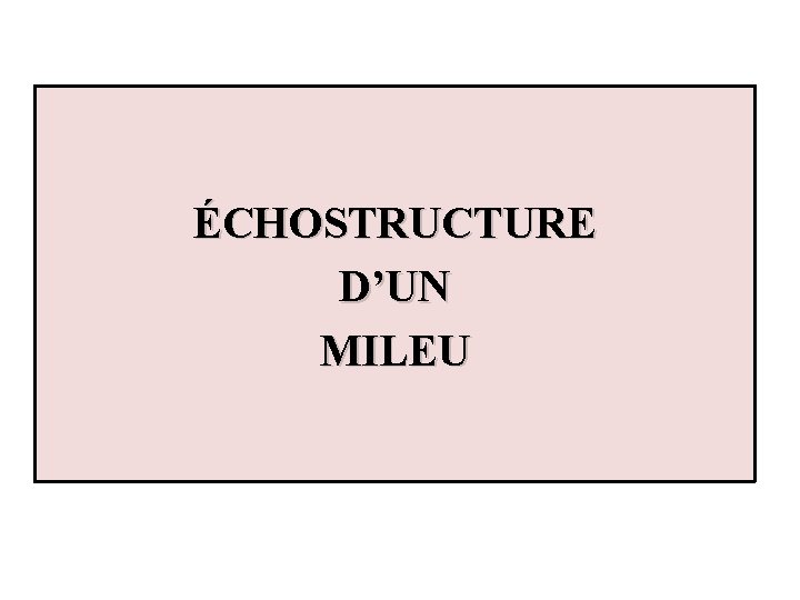 ÉCHOSTRUCTURE D’UN MILEU 