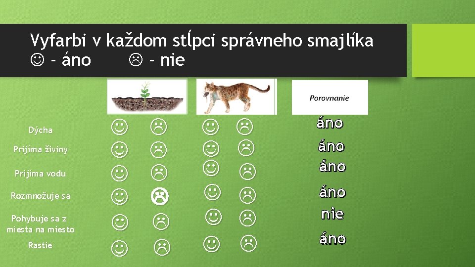 Vyfarbi v každom stĺpci správneho smajlíka - áno - nie Dýcha Prijíma živiny Prijíma