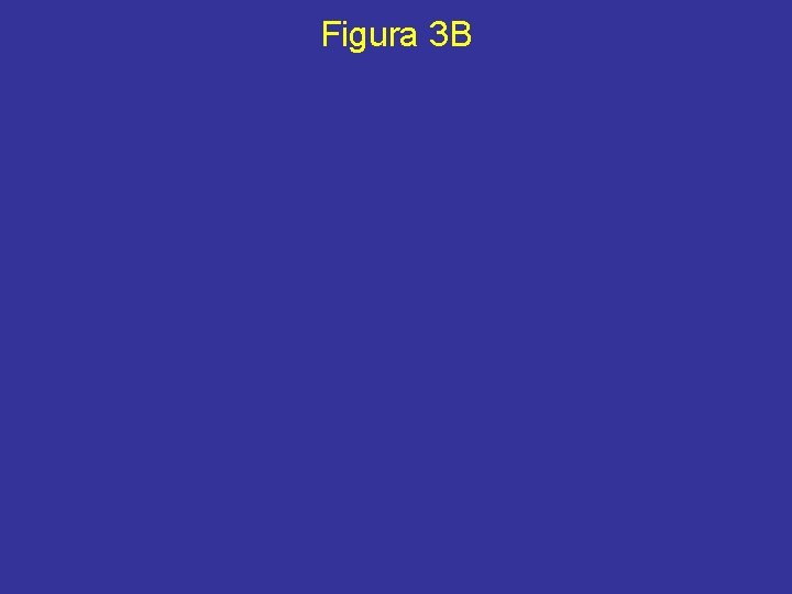 Figura 3 B 