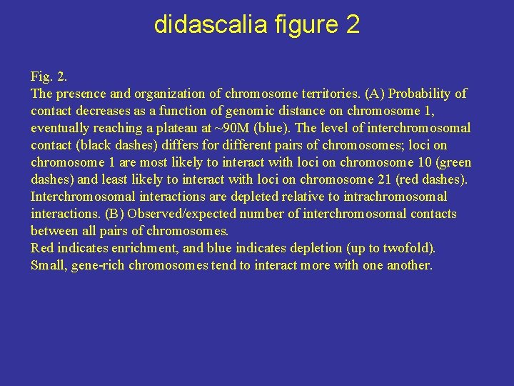 didascalia figure 2 Fig. 2. The presence and organization of chromosome territories. (A) Probability