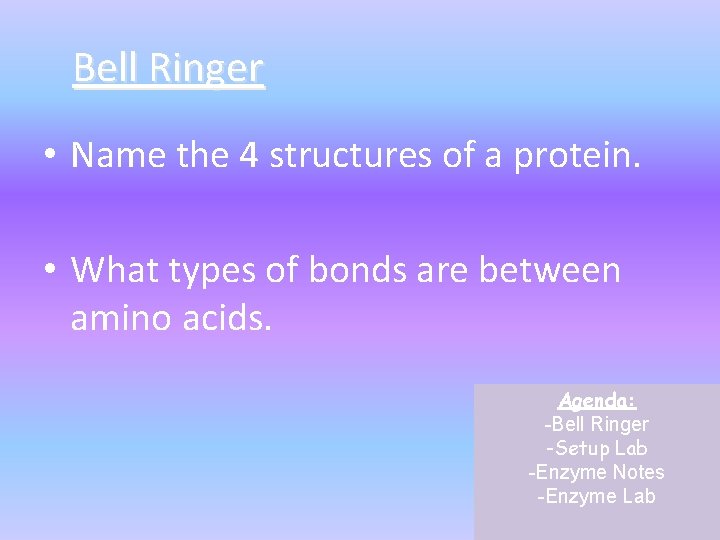 Bell Ringer • Name the 4 structures of a protein. • What types of