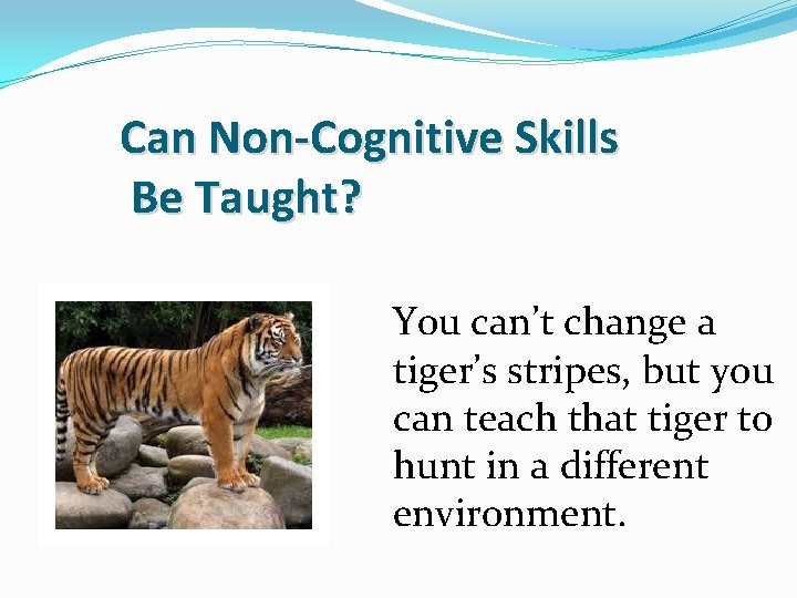 Can Non-Cognitive Skills Be Taught? You can’t change a tiger’s stripes, but you can Can Non-Cognitive Skills Be Taught? You can’t change a tiger’s stripes, but you can