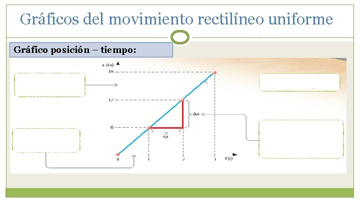 Gráficos del movimiento rectilíneo uniforme Gráfico posición – tiempo: 