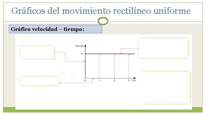 Gráficos del movimiento rectilíneo uniforme Gráfico velocidad – tiempo: 