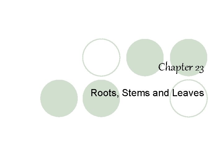 Chapter 23 Roots, Stems and Leaves 
