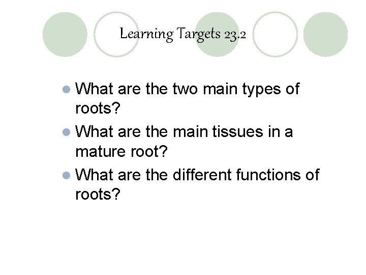 Learning Targets 23. 2 l What are the two main types of roots? l