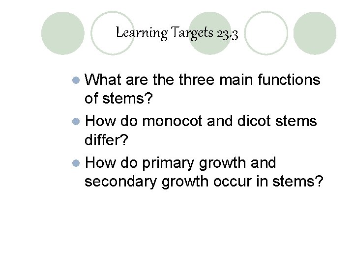 Learning Targets 23. 3 l What are three main functions of stems? l How