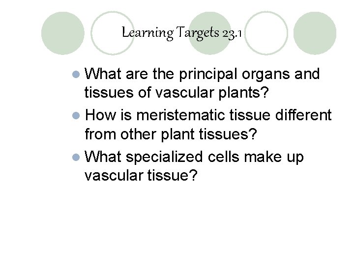 Learning Targets 23. 1 l What are the principal organs and tissues of vascular