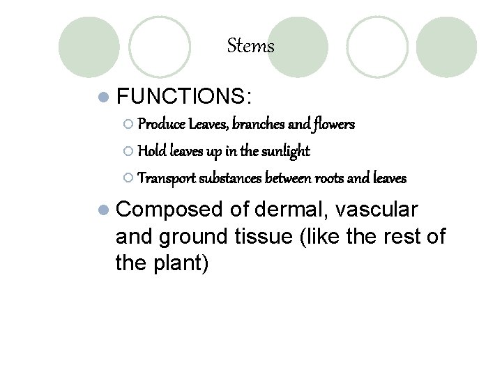 Stems l FUNCTIONS: ¡ Produce Leaves, branches and flowers ¡ Hold leaves up in