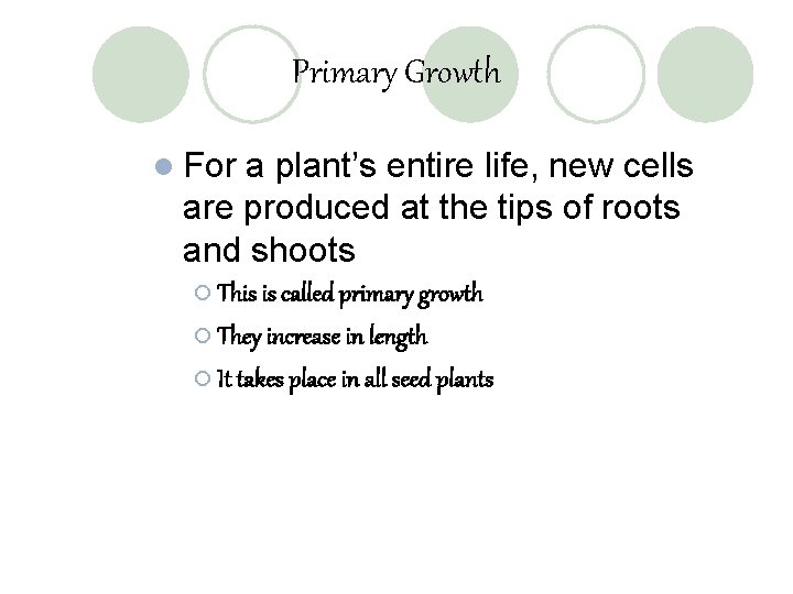 Primary Growth l For a plant’s entire life, new cells are produced at the