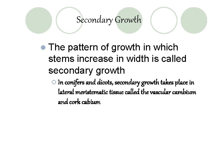 Secondary Growth l The pattern of growth in which stems increase in width is