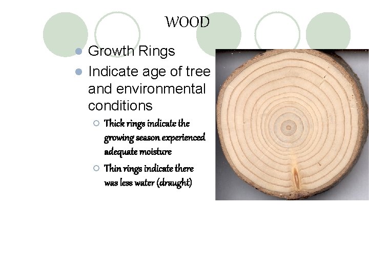 WOOD Growth Rings l Indicate age of tree and environmental conditions l ¡ ¡