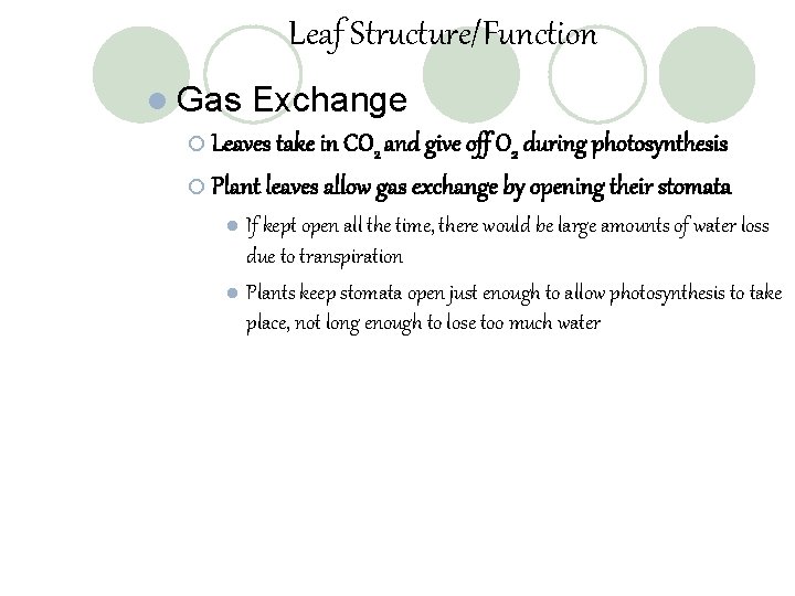 Leaf Structure/Function l Gas Exchange ¡ Leaves take in CO 2 and give off