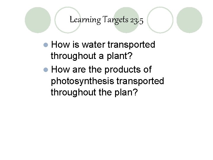 Learning Targets 23. 5 l How is water transported throughout a plant? l How