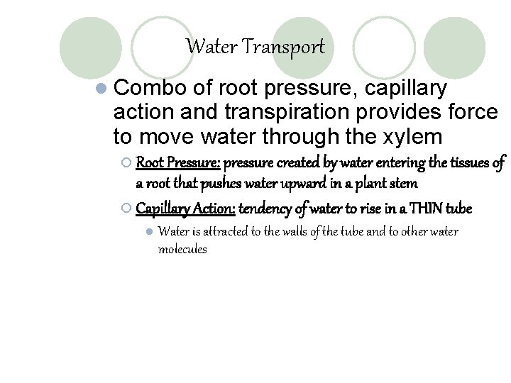 Water Transport l Combo of root pressure, capillary action and transpiration provides force to