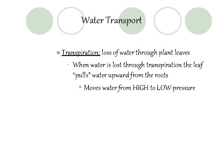 Water Transport l Transpiration: loss of water through plant leaves • When water is