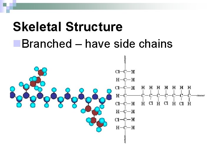 Skeletal Structure n. Branched – have side chains 