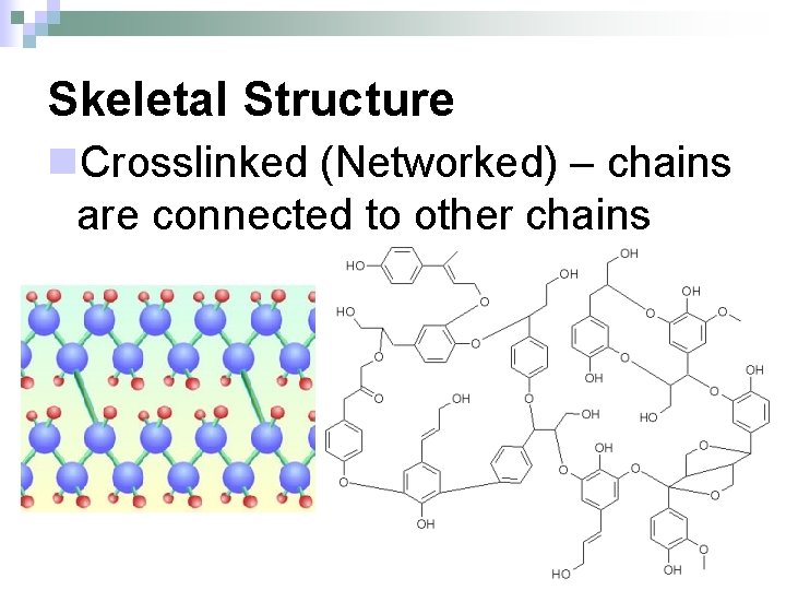 Skeletal Structure n. Crosslinked (Networked) – chains are connected to other chains 