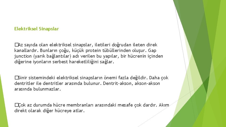 Elektriksel Sinapslar �Az sayıda olan elektriksel sinapslar, iletileri doğrudan ileten direk kanallardır. Bunların çoğu,