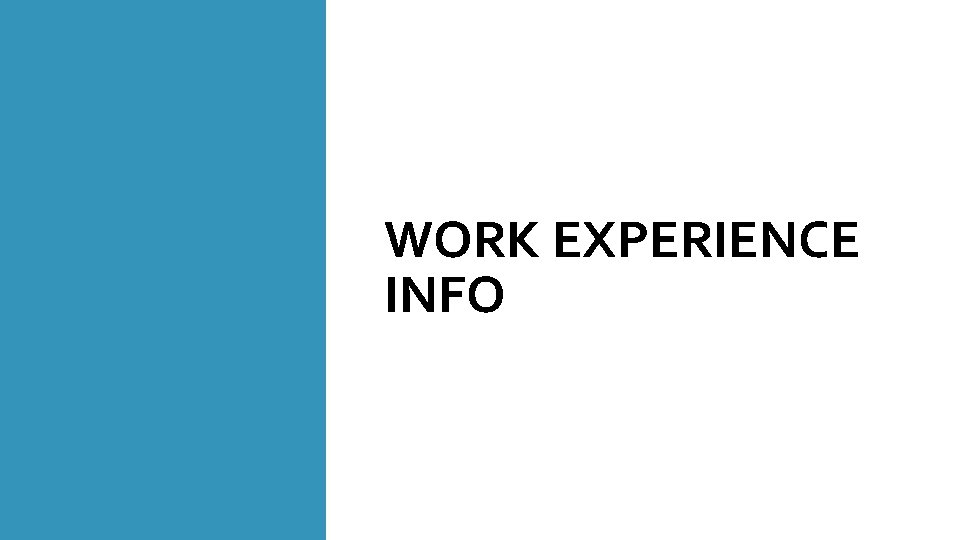 WORK EXPERIENCE INFO 