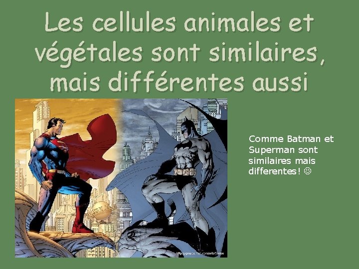 Les cellules animales et végétales sont similaires, mais différentes aussi Comme Batman et Superman